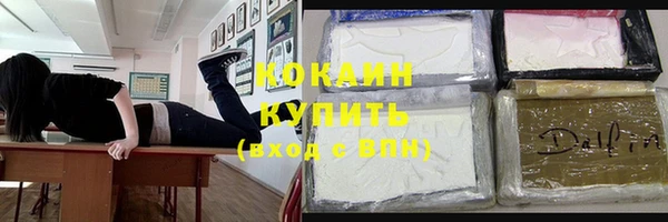 индика Нефтекумск
