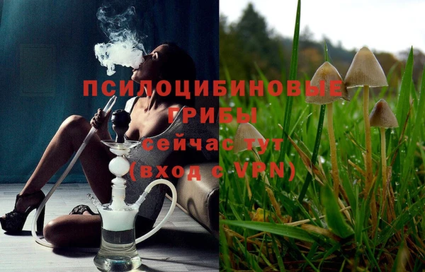 индика Нефтекумск