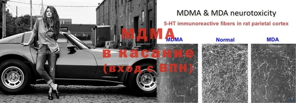 индика Нефтекумск