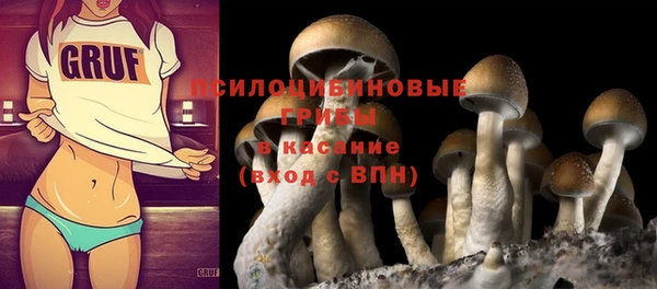 молекула духа Нея