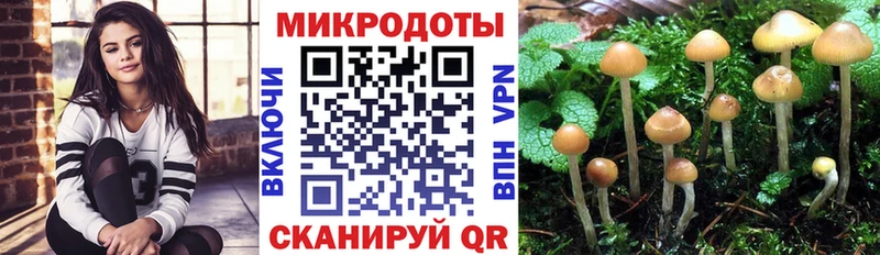 Галлюциногенные грибы GOLDEN TEACHER  гидра   Истра 
