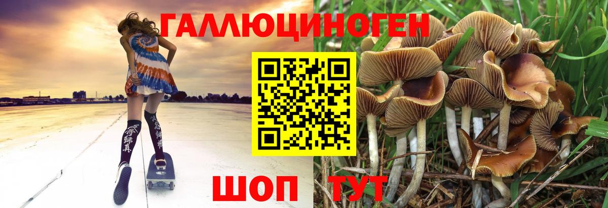 Галлюциногенные грибы GOLDEN TEACHER Истра
