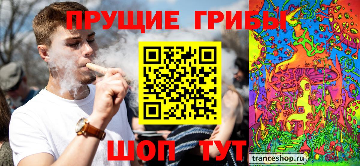 Истра  Галлюциногенные грибы прущие грибы  Вход с VPN 