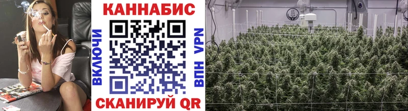 блэк спрут   Истра  Конопля VHQ 